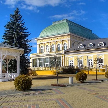 Penzion U Modreho Slona Frantiskovy Lazne Ngoại thất bức ảnh