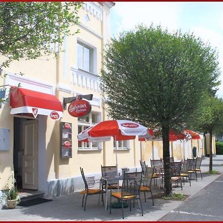 Penzion U Modreho Slona Frantiskovy Lazne Ngoại thất bức ảnh