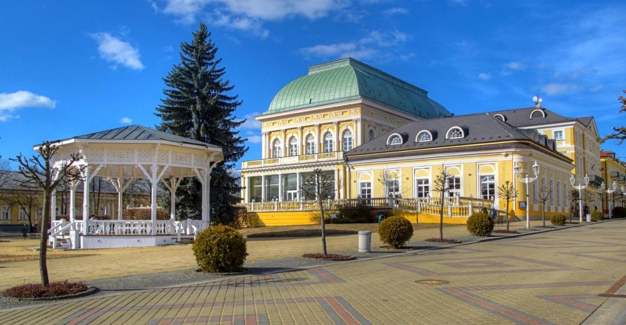 Penzion U Modreho Slona Frantiskovy Lazne Ngoại thất bức ảnh