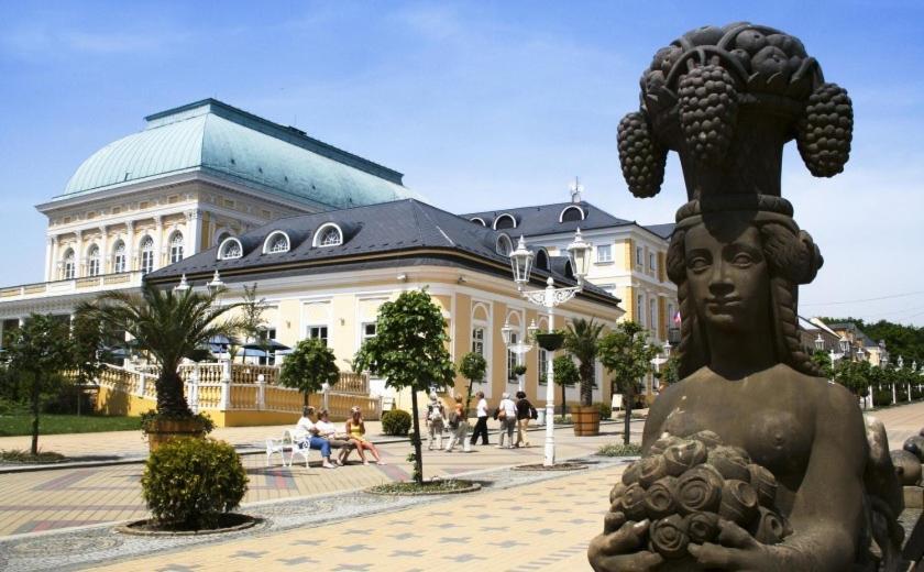 Penzion U Modreho Slona Frantiskovy Lazne Ngoại thất bức ảnh